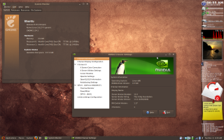 System Monitor and Nvidia Settings